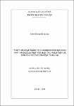 SPV_14-18_NguyenHongHanh.pdf.jpg