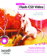 Foundation Flash CS3 Video / Tom Green, Adam Thomas