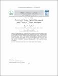 Protection of Human Rights of the Accused in the Process of Criminal Investigatio.pdf.jpg