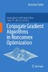 Conjugate gradient algorithms in nonconvex optimization / Pytlak, Radosław